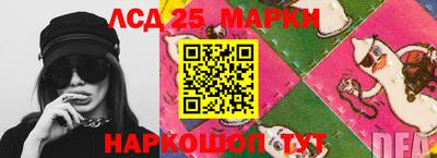индика Будённовск