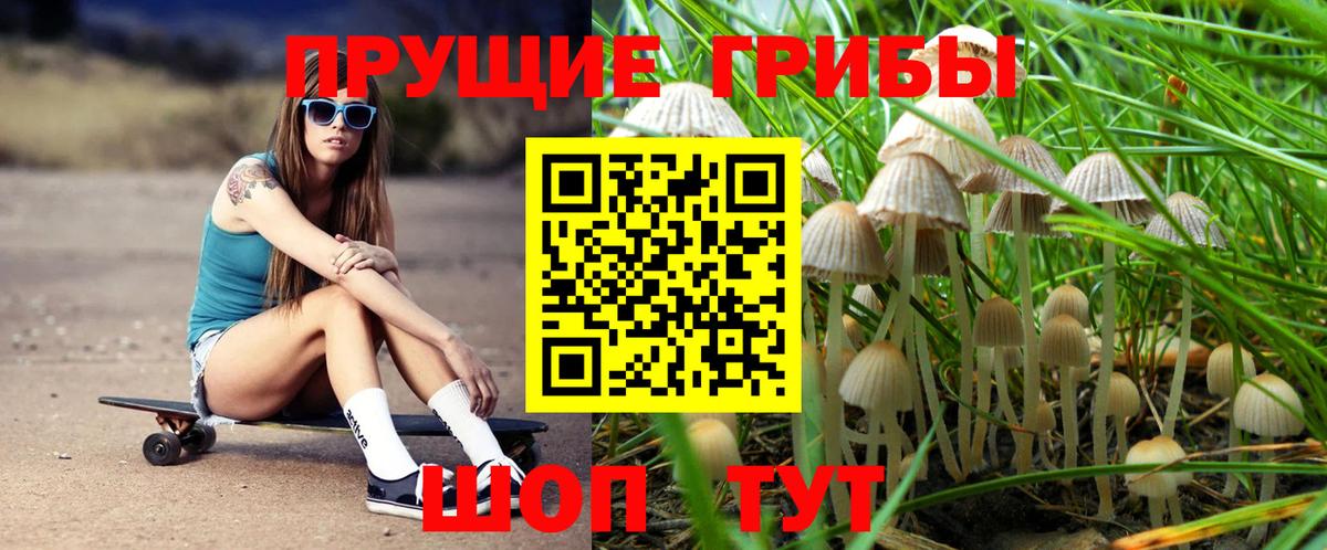 Псилоцибиновые грибы мухоморы Чистополь
