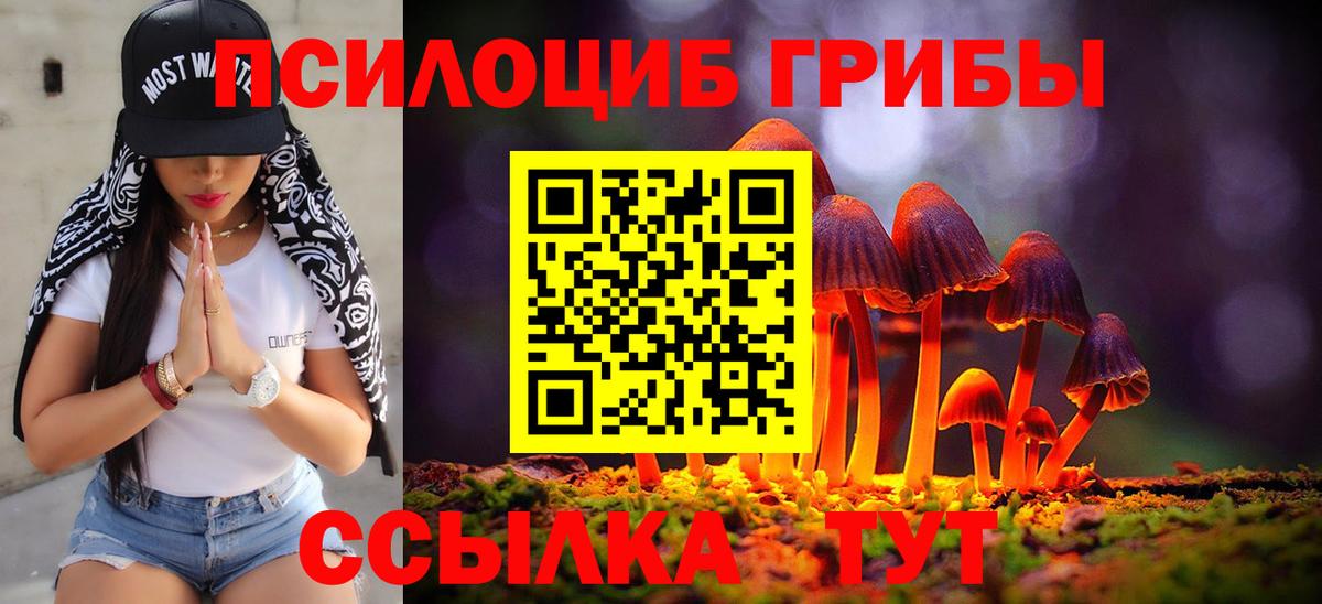 Чистополь  Галлюциногенные грибы GOLDEN TEACHER  Вход с VPN 